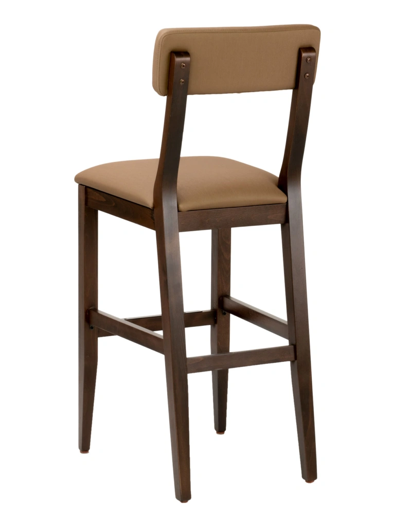 FLS-21B-back