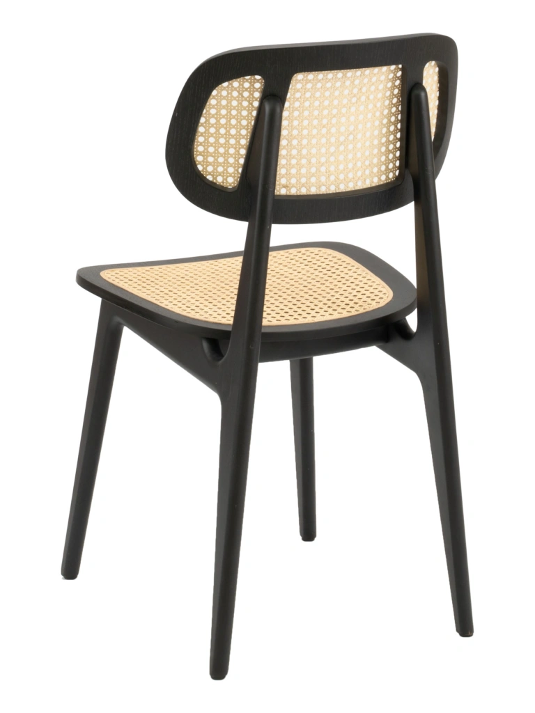 FLS-22S Rattan – back view