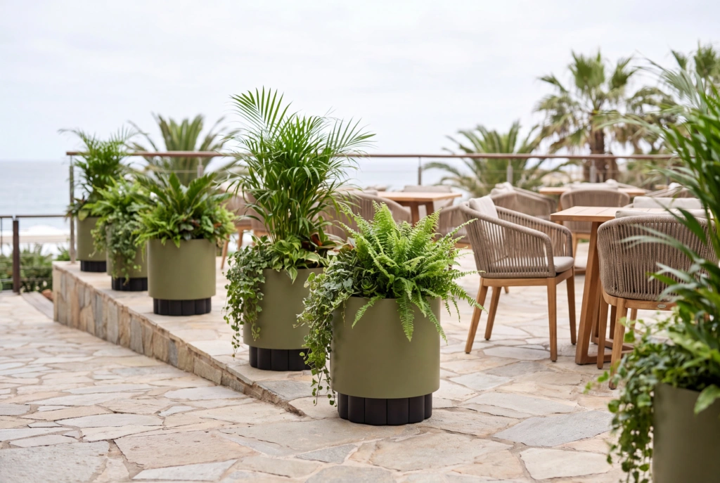 Lotus Planter L 16×17 setting