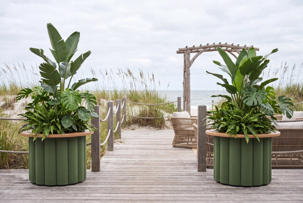 Lotus Planter XXL 26×18 setting