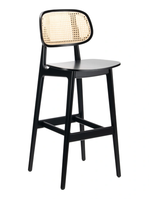 FLS-22B Rattan